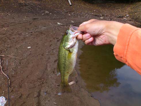 f:id:puchitenshi:20120903024729j:image