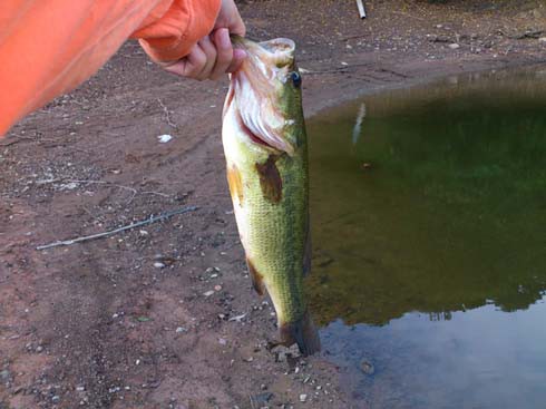 f:id:puchitenshi:20120903024747j:image