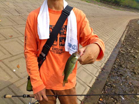 f:id:puchitenshi:20120905125949j:image