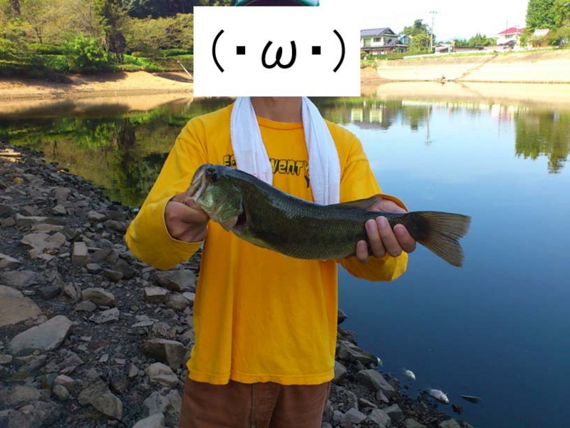 f:id:puchitenshi:20120905130633j:image