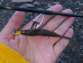 f:id:puchitenshi:20120905130651j:image