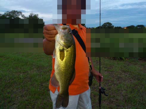 f:id:puchitenshi:20120905234714j:image f:id:puchitenshi:20120905234714j:image