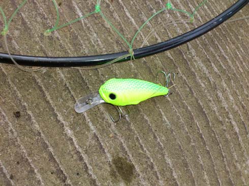 f:id:puchitenshi:20120906093419j:image f:id:puchitenshi:20120906093419j:image