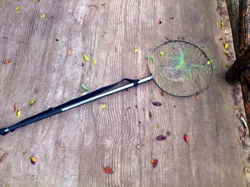 f:id:puchitenshi:20120906093531j:image f:id:puchitenshi:20120906093531j:image