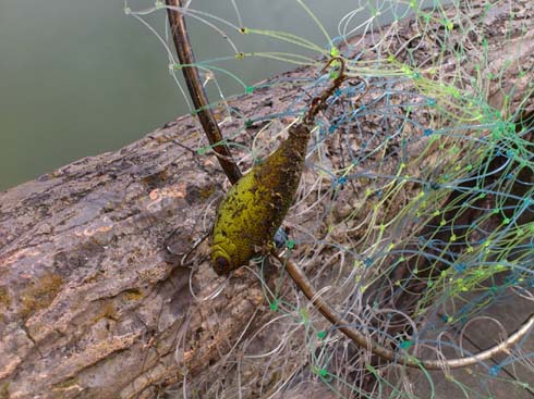 f:id:puchitenshi:20120906094101j:image f:id:puchitenshi:20120906094101j:image