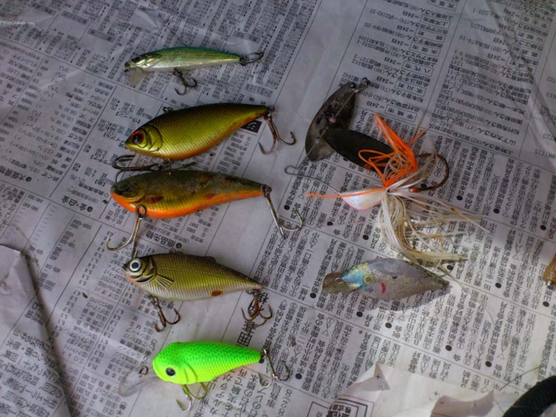 f:id:puchitenshi:20120906094848j:image f:id:puchitenshi:20120906094848j:image