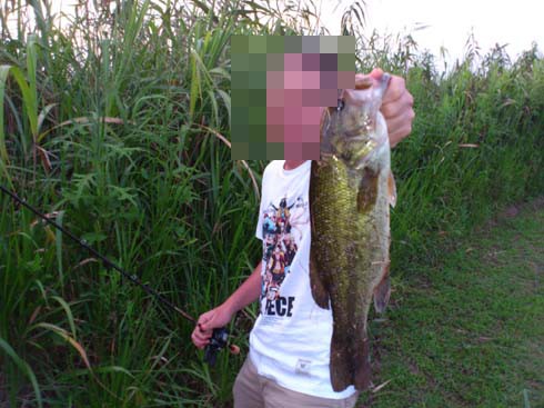 f:id:puchitenshi:20120912233420j:image