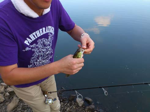 f:id:puchitenshi:20120914014844j:image f:id:puchitenshi:20120914014844j:image