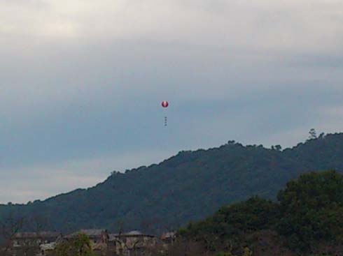 みそこナッツ 俺のターンは未定