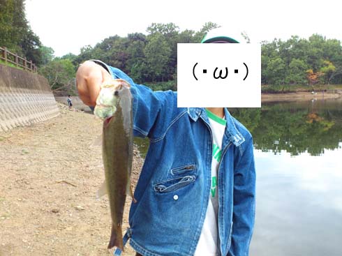 みそこナッツ 俺のターンは未定