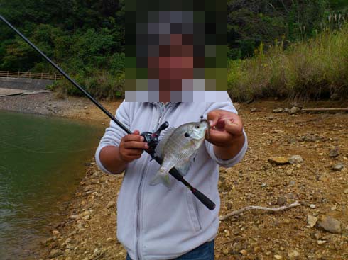 f:id:puchitenshi:20121104203846j:image f:id:puchitenshi:20121104203846j:image