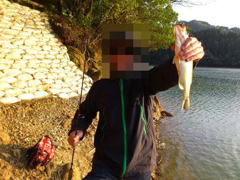 f:id:puchitenshi:20121104203900j:image f:id:puchitenshi:20121104203900j:image