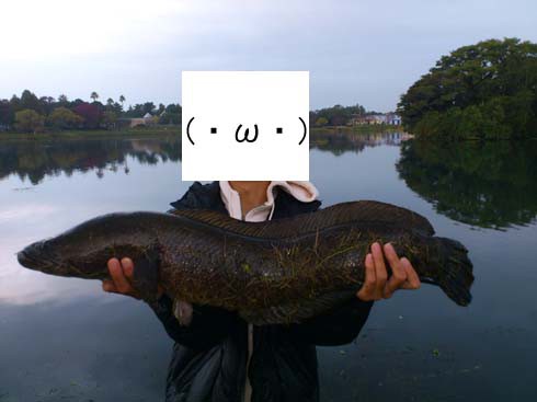 f:id:puchitenshi:20121107021649j:image f:id:puchitenshi:20121107021649j:image