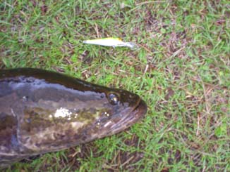 f:id:puchitenshi:20121107021724j:image f:id:puchitenshi:20121107021724j:image