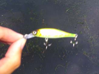 f:id:puchitenshi:20121107021912j:image f:id:puchitenshi:20121107021912j:image