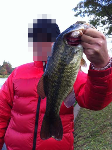 f:id:puchitenshi:20121114014307j:image f:id:puchitenshi:20121114014307j:image