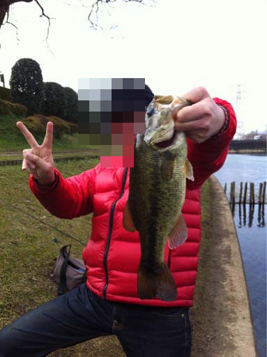 f:id:puchitenshi:20130204084925j:image