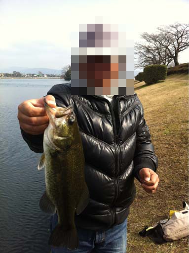 f:id:puchitenshi:20130204084926j:image