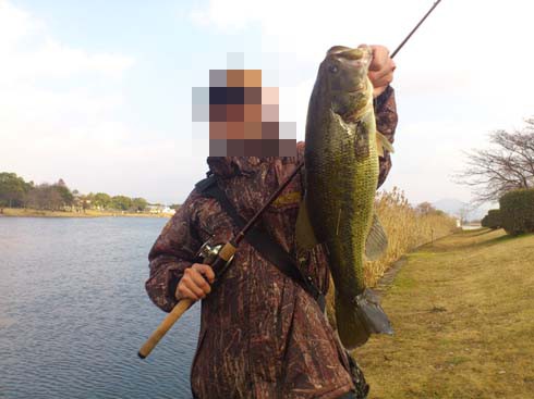 f:id:puchitenshi:20130204084927j:image