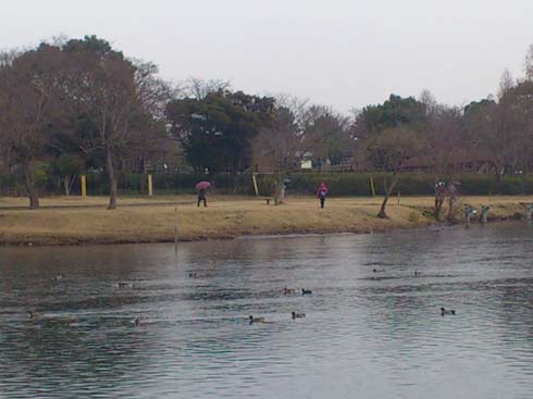 f:id:puchitenshi:20130205141627j:image f:id:puchitenshi:20130205141627j:image