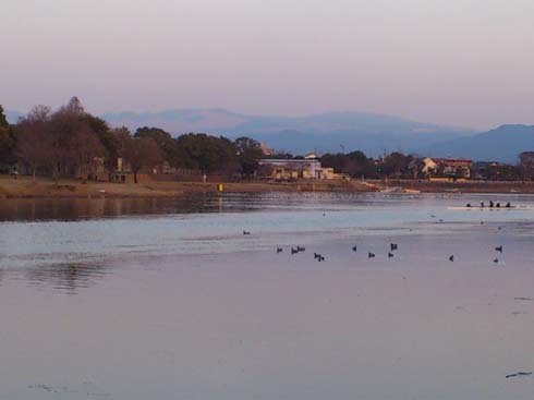 f:id:puchitenshi:20130219012357j:image f:id:puchitenshi:20130219012357j:image