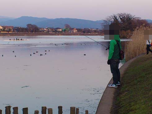 f:id:puchitenshi:20130219012416j:image f:id:puchitenshi:20130219012416j:image