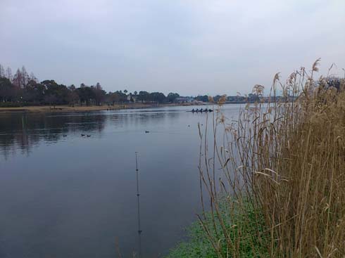 f:id:puchitenshi:20130219012547j:image f:id:puchitenshi:20130219012547j:image