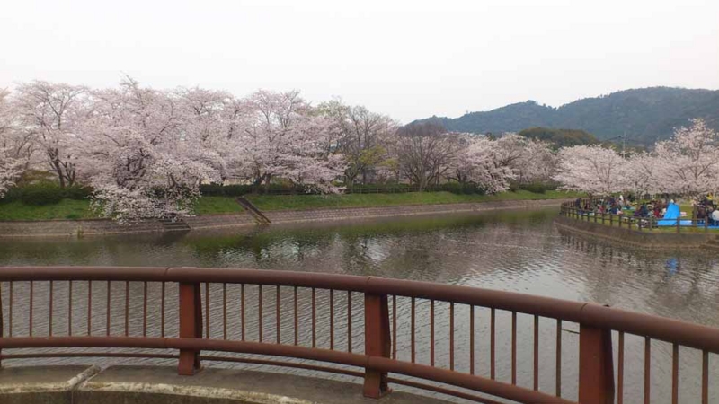 f:id:puchitenshi:20130328021857j:image f:id:puchitenshi:20130328021857j:image