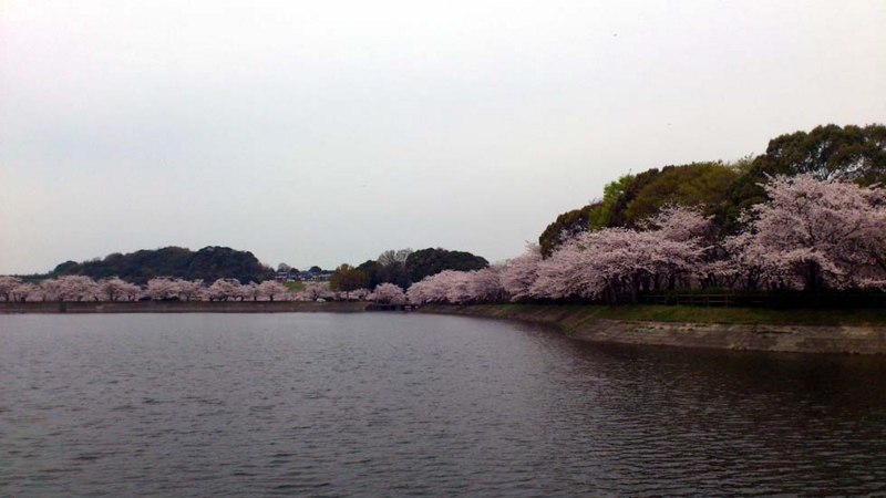 f:id:puchitenshi:20130328021858j:image f:id:puchitenshi:20130328021858j:image