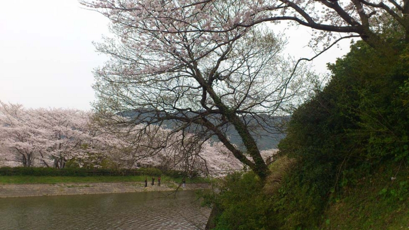 f:id:puchitenshi:20130328022041j:image f:id:puchitenshi:20130328022041j:image
