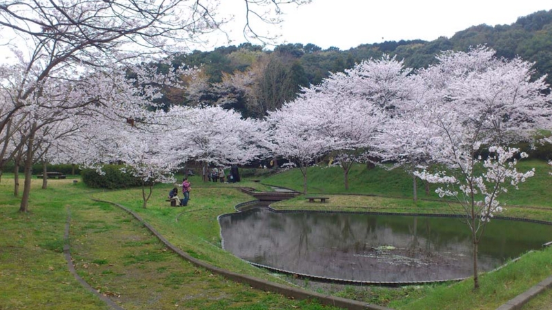 f:id:puchitenshi:20130328022056j:image f:id:puchitenshi:20130328022056j:image