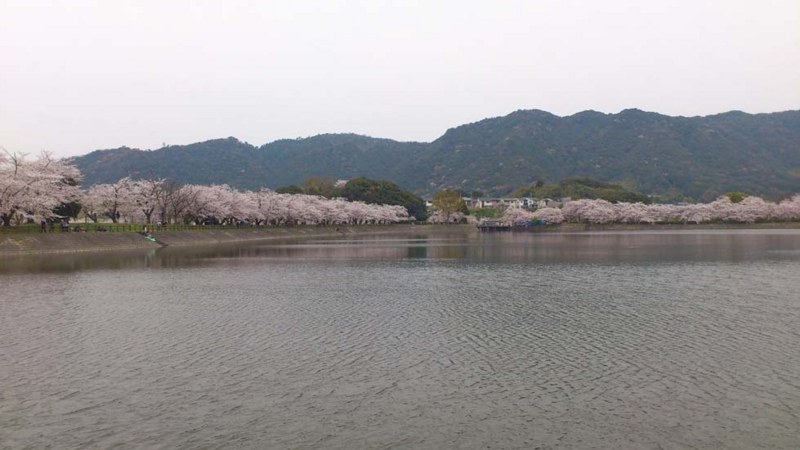 f:id:puchitenshi:20130328022110j:image f:id:puchitenshi:20130328022110j:image