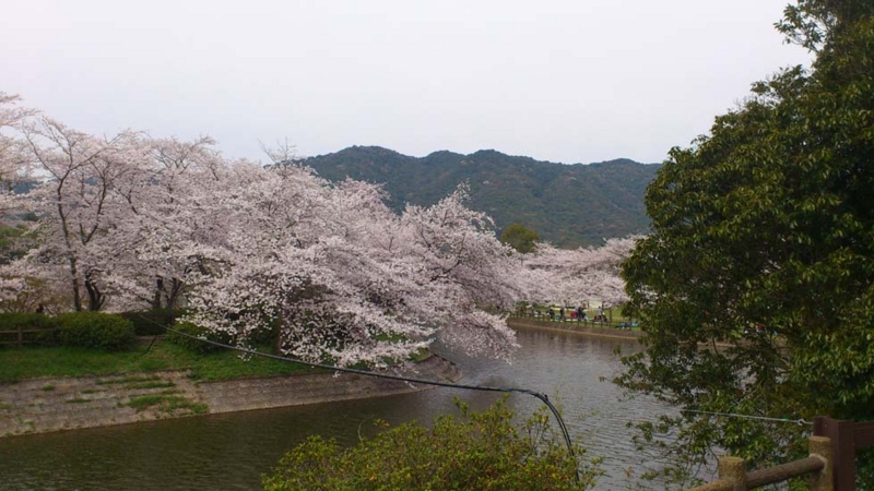 f:id:puchitenshi:20130328022122j:image f:id:puchitenshi:20130328022122j:image