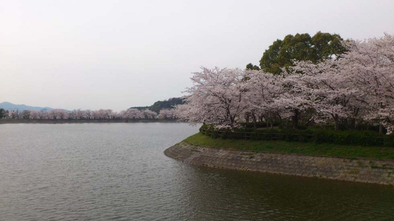 f:id:puchitenshi:20130328022140j:image f:id:puchitenshi:20130328022140j:image