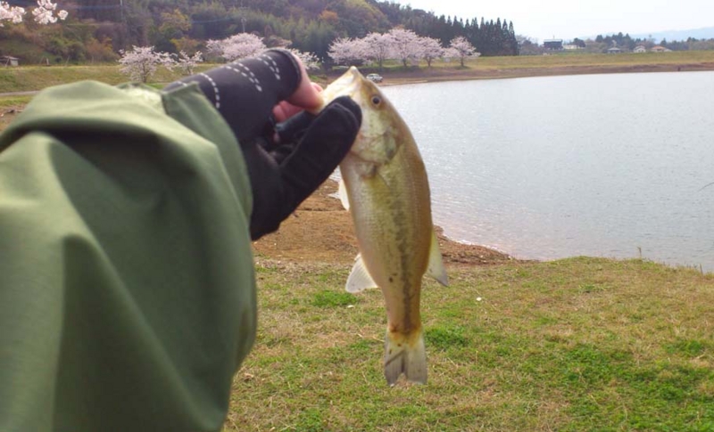 f:id:puchitenshi:20130328022220j:image f:id:puchitenshi:20130328022220j:image