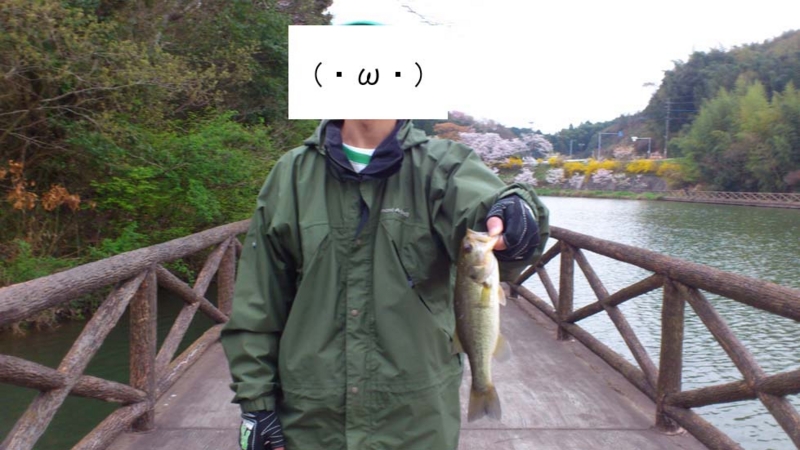 f:id:puchitenshi:20130328022235j:image f:id:puchitenshi:20130328022235j:image