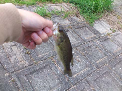 f:id:puchitenshi:20130422021648j:image f:id:puchitenshi:20130422021648j:image