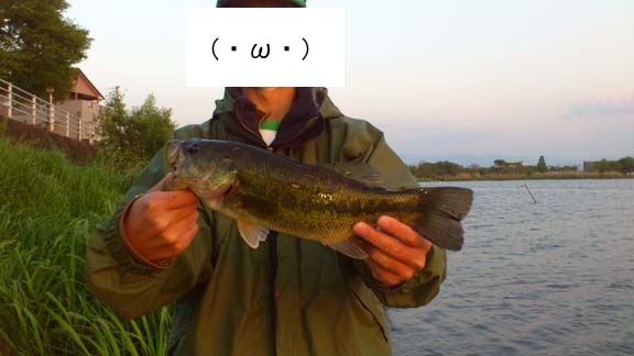 f:id:puchitenshi:20130426184037j:image