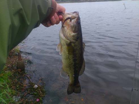 f:id:puchitenshi:20130501012853j:image f:id:puchitenshi:20130501012853j:image