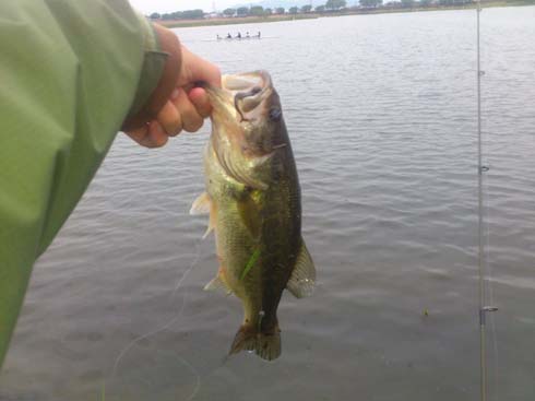 f:id:puchitenshi:20130501012854j:image f:id:puchitenshi:20130501012854j:image