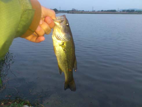 f:id:puchitenshi:20130501013033j:image f:id:puchitenshi:20130501013033j:image