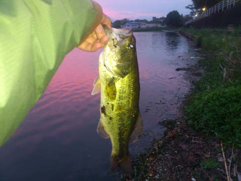 f:id:puchitenshi:20130501013043j:image f:id:puchitenshi:20130501013043j:image