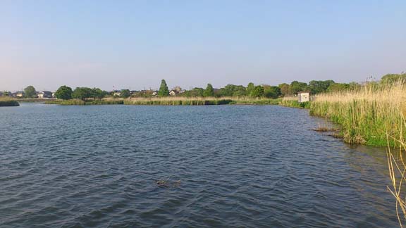 f:id:puchitenshi:20130504022619j:image