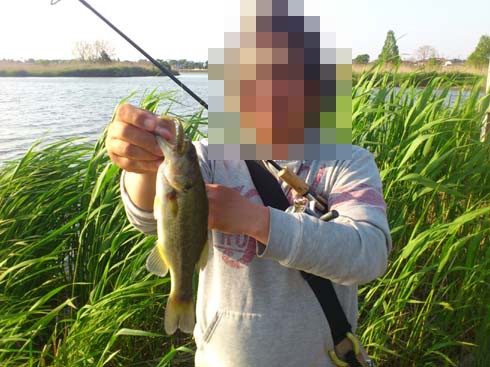 f:id:puchitenshi:20130504022644j:image