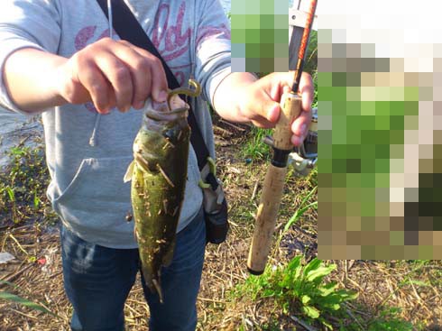 f:id:puchitenshi:20130504022652j:image