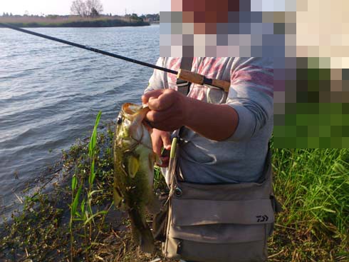 f:id:puchitenshi:20130504022700j:image