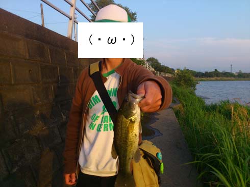 f:id:puchitenshi:20130504022753j:image