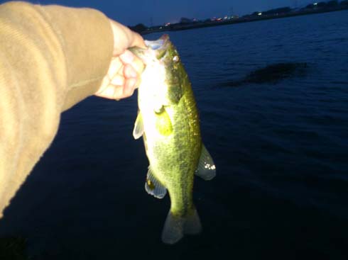 f:id:puchitenshi:20130504022816j:image