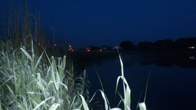 f:id:puchitenshi:20130511003920g:image f:id:puchitenshi:20130511003920g:image