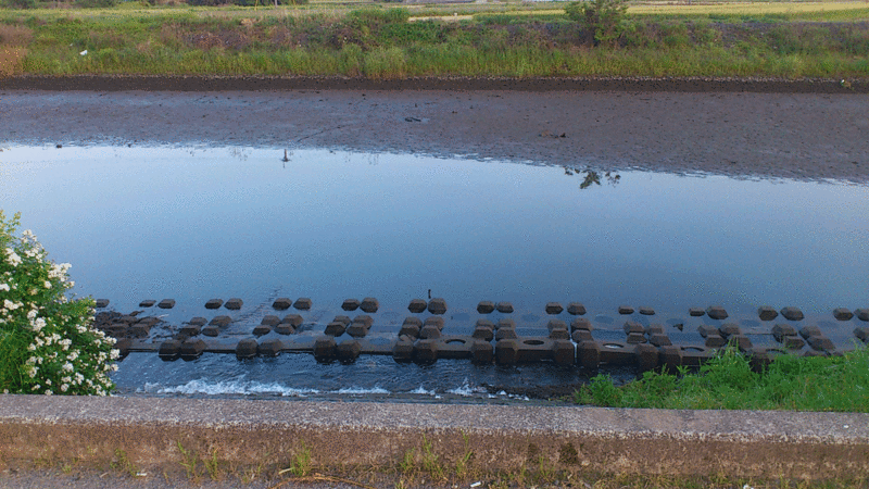 f:id:puchitenshi:20130511004017g:image f:id:puchitenshi:20130511004017g:image